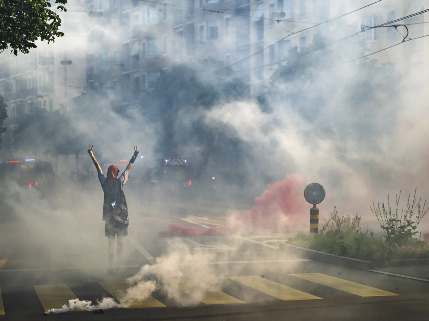 Ранние меры по сдерживанию протестов против «G7» в Женеве признаны законными